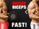 How to Build Your Biceps