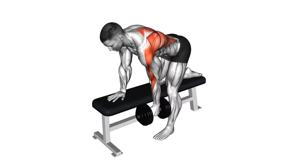 Unleashing Strength and Symmetry: A Deep Dive into the One-Arm Dumbbell ...